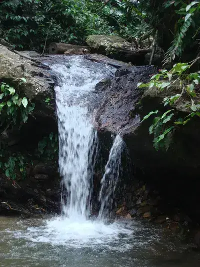 Asa Wright Nature Centre